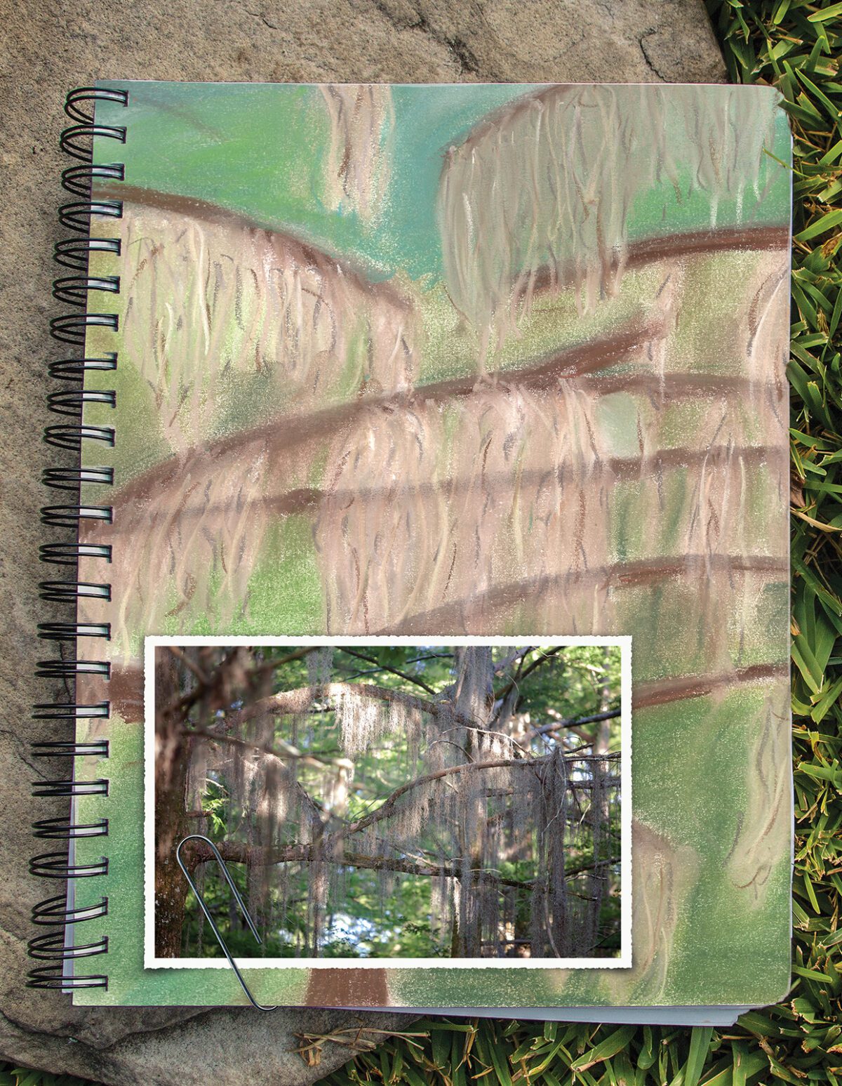 Spanish Moss