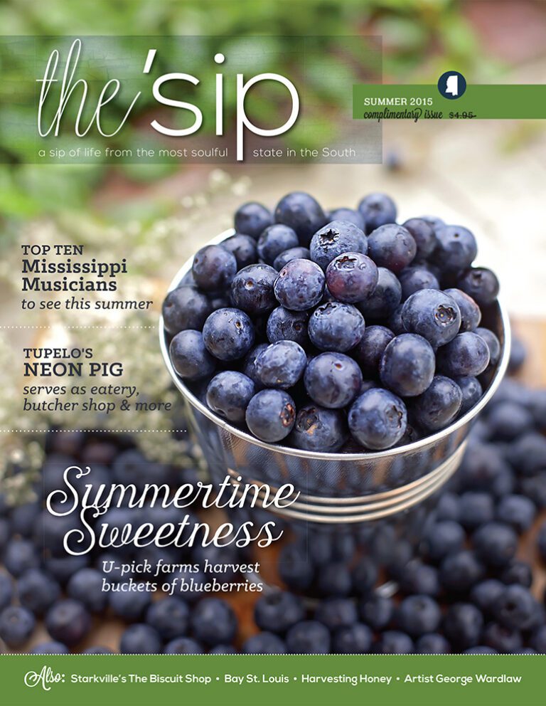 Cover of Summer 2015