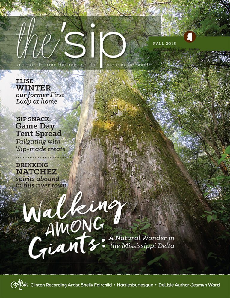Cover of Fall 2015