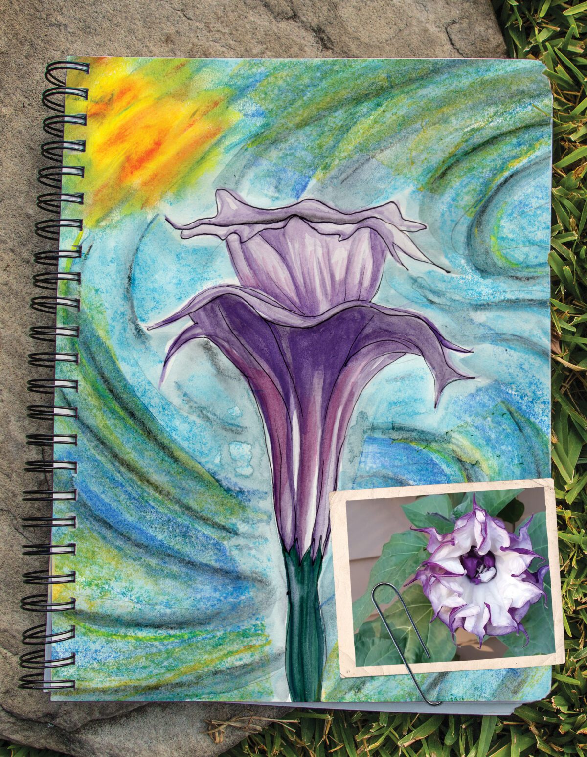 Purple Datura