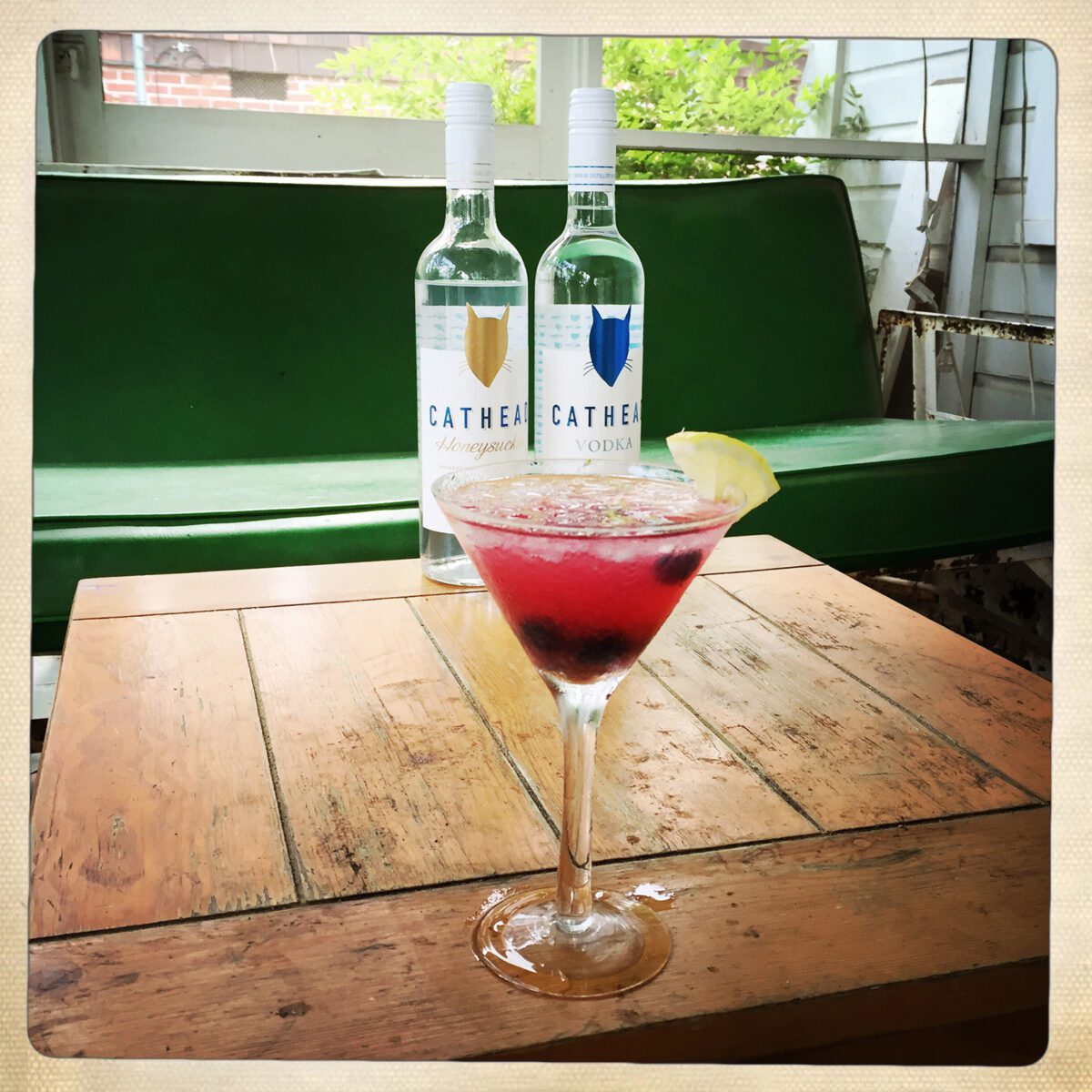 Blueberry Recipes