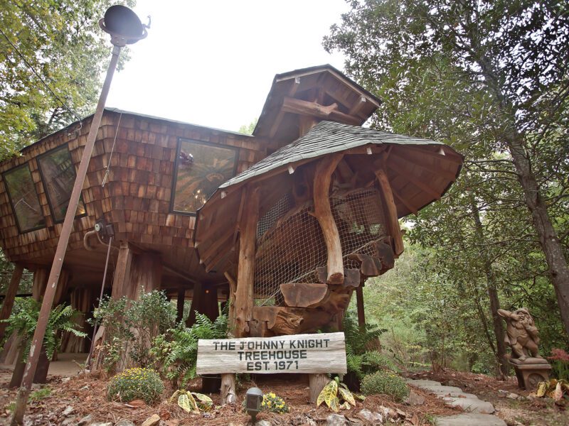 A Tree House